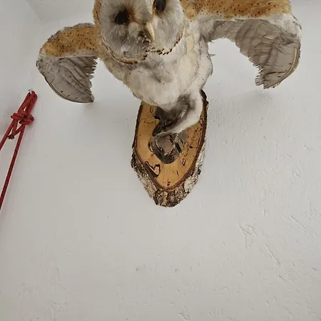 アパート La Gerla - Maison De Charme - Vista Monte Bianco *