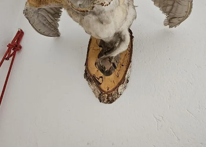 Apartman La Gerla - Maison De Charme Valle D'Aosta - Vista Monte Bianco *